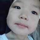 커브스 신곡클럽 | 8월 일기 3번째 (포스팅 수억개 나올 판, 20대 후반 추억팔이 포스팅, 또 키키트리, 마블 손선풍기...