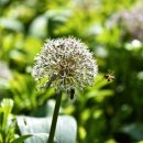 완주로컬푸드협동조합 이미지