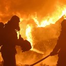 강남-250 이미지