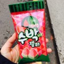 센타이