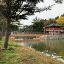 제천약국 | 충북 제천_일주일살아보기_여행지원금