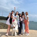솔로하 이미지