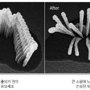 금호튼튼한의원 이미지