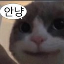 하이퐁샵