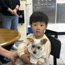 오송우리주유소 이미지