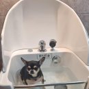 스테이숨 이미지