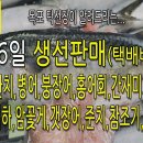 송봉덕 Daum카페