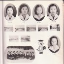 송지중학교 이미지