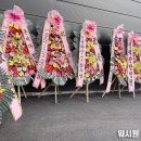 팽성워시원 이미지