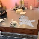 가족건강랜드 휴 | 스테이션, 애견 카페 피피피, 블루백팩커스 호스텔, 수영 돼지국밥, 오복돼지국밥, 대하가족건강랜드 후기