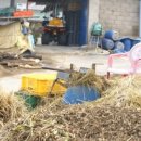 안동김씨 사충문 이미지