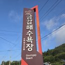 강희농장 | 전남 진도여행 가볼만한곳 &#34;운림산방&#34;&#34;쌍계사&#34;&#34;진도개테마파크&#34;&#34;금갑해수욕장&#34;