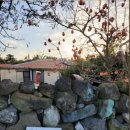 인심이네 이미지