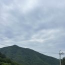 펫츠런파크 이미지