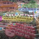 강촌캠핑장 이미지