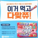송도수학학원 페르마수학학원에서 수업 후기 진정한 수학의 재미를 찾아서