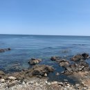 강구농업협동조합남정지점 이미지