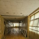 토평중학교 이미지