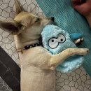 가경카센터 이미지