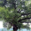 덕곡면보건지소 이미지