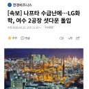 나프타 수급난에.. LG화락 여수 2공장 셧다운 돌입 이미지