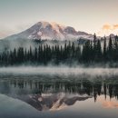 자연의꿈 이미지