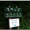 삼천목장 이미지