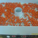 빨간 시골집 이미지