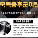 기운찬마취통증의학과의원 이미지