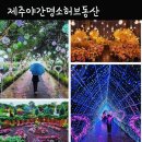 [제주도 야간] 제주허브동산 표선 가볼만한곳 (ft.커플족욕)