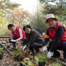 그린쇼핑센타 이미지