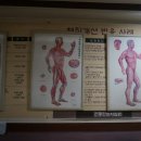 e-쁘지오 이미지