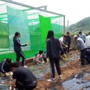 흥선농장 이미지