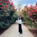 2023-0088 | 제주 카멜리아힐 할인 입장권 1월의 동백꽃