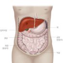 간 안좋을때 나타나는 대표 증상 5가지 : 간경화 간암 초기증상? 이미지