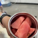 정동진민박