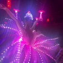 영화로 보는 중국의 역사와 문화 | 중국 장가계 로맨스파크 송성가무쇼 생생 후기 필수 관람 공연