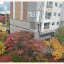 더좋은집공인중개사사무소 이미지