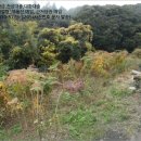 호근동-6 이미지