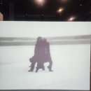 인간연작 | 백남준아트센터(무료): 《조안 조나스: 인간 너머의 세계》