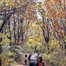 포항상생숲길 | 포항 상생문화숲길 탐방(오미골·무장봉)