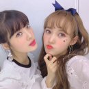 세이리본 이미지