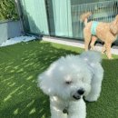 포그니유치원 이미지