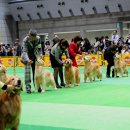 빅골든하우스 이미지