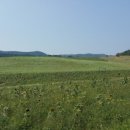 말밭농장 이미지