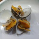 돌복이네 꼬막 이미지