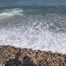 주전가족휴양지캠핑장 이미지