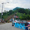 동아대태권도 | 부산 9월 축제 아이와 걷기대회 2025 워크앤피스IN부산 참가후기