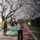 (24.03.31) 삼락생태공원 벚꽃길 도보 02 이미지
