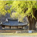 청주 운곡서원 이미지